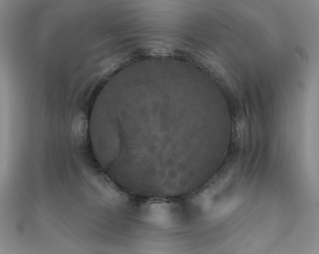 X0000111830228200907231323