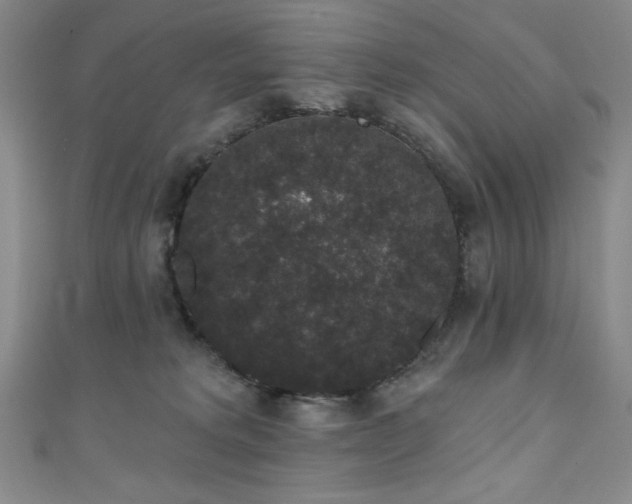 X0000111830229200907231323