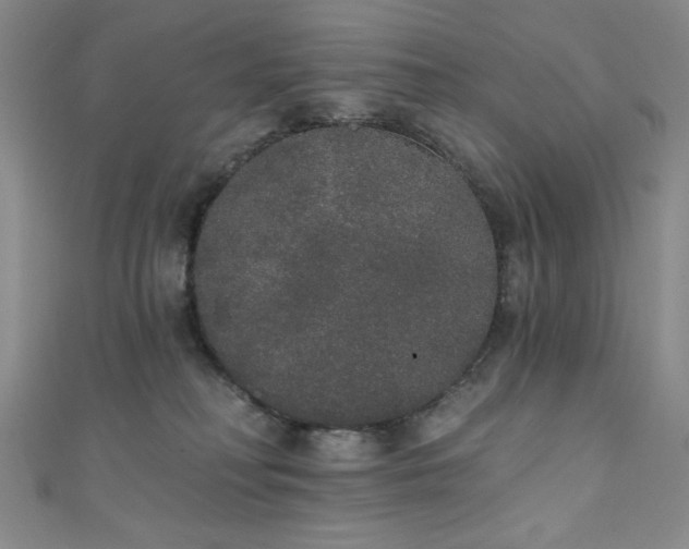 X0000111830230200907231323