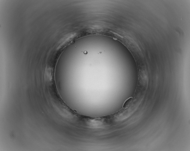 X0000111830232200907231323