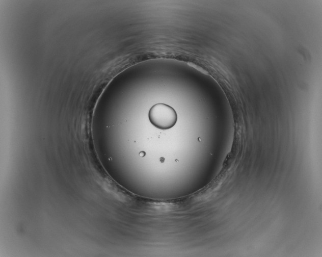 X0000111830233200907231323