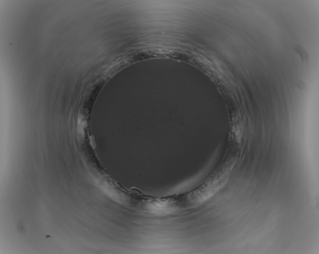 X0000111830235200907231323