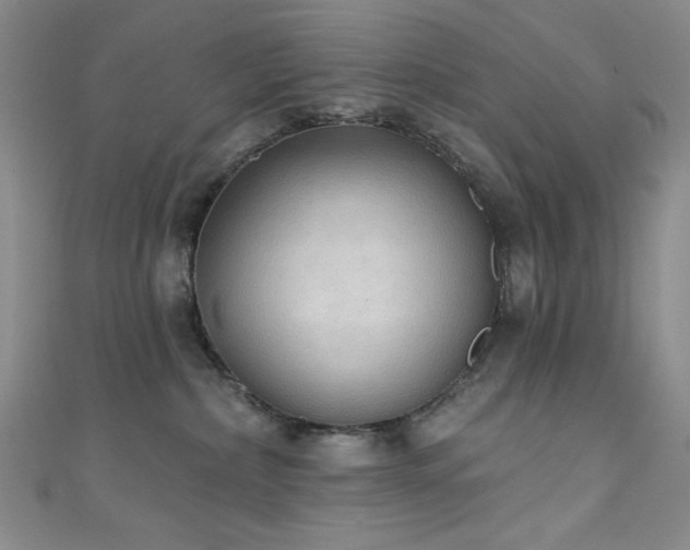 X0000111830236200907231323