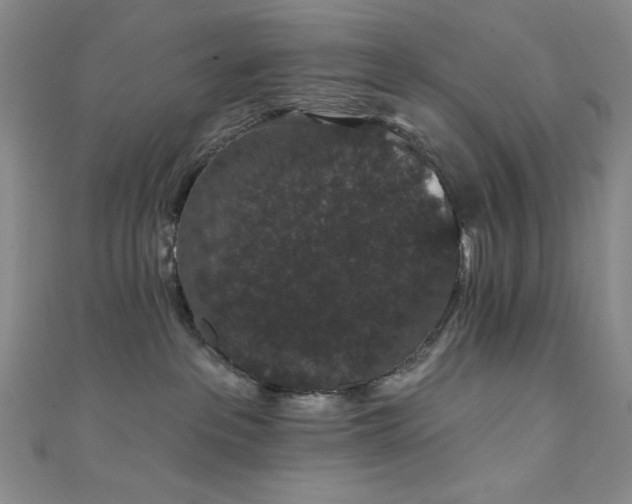 X0000111830237200907231323