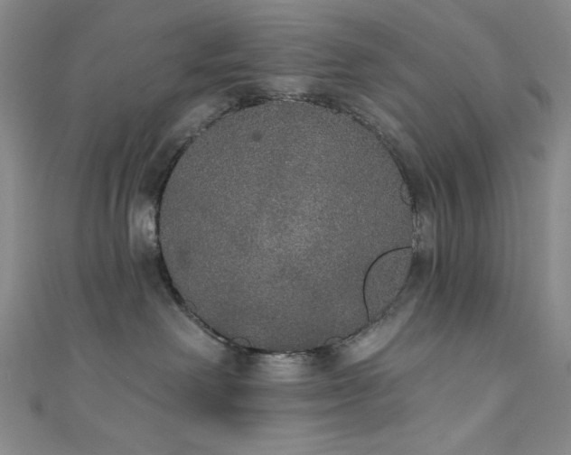 X0000111830238200907231323