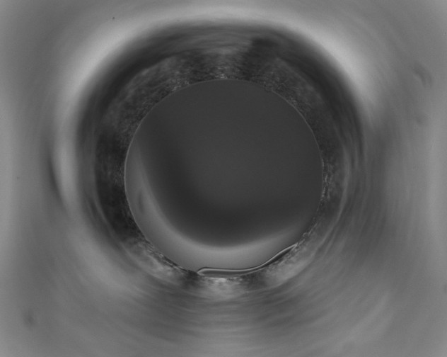 X0000111830239200907231323