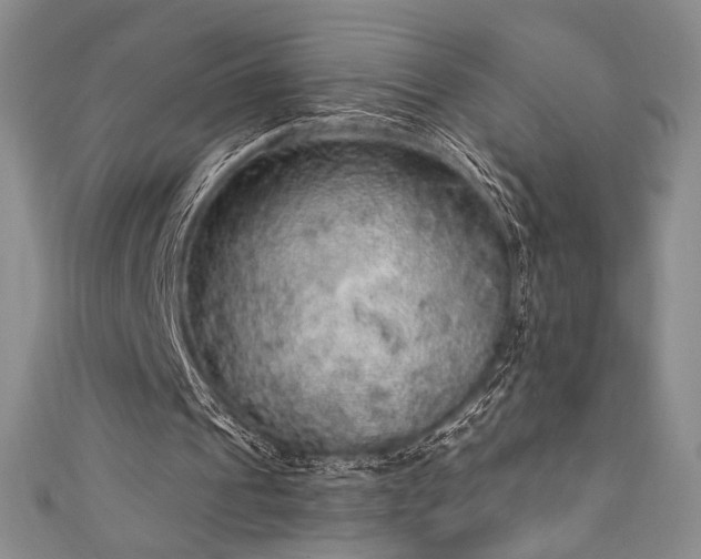 X0000111830241200907231322