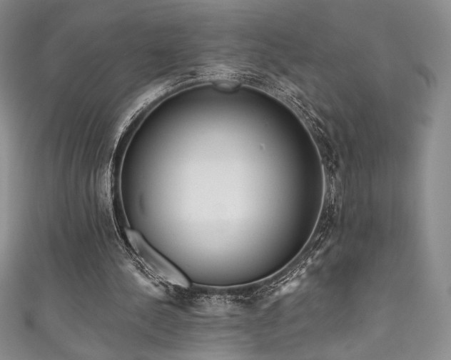 X0000111830244200907231322