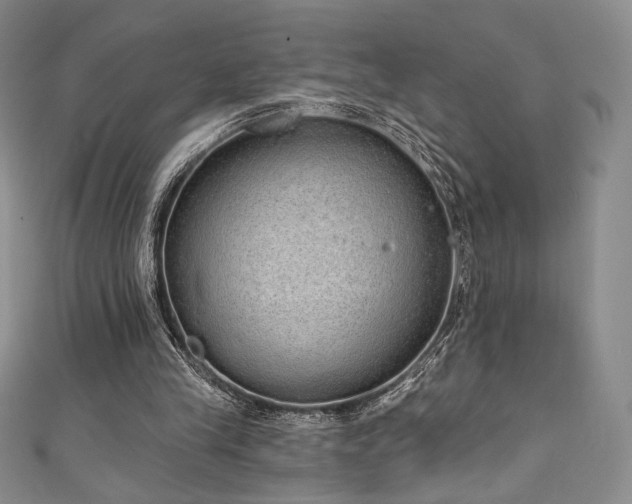 X0000111830245200907231322