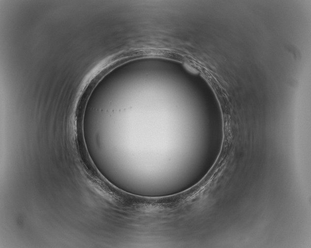 X0000111830246200907231322