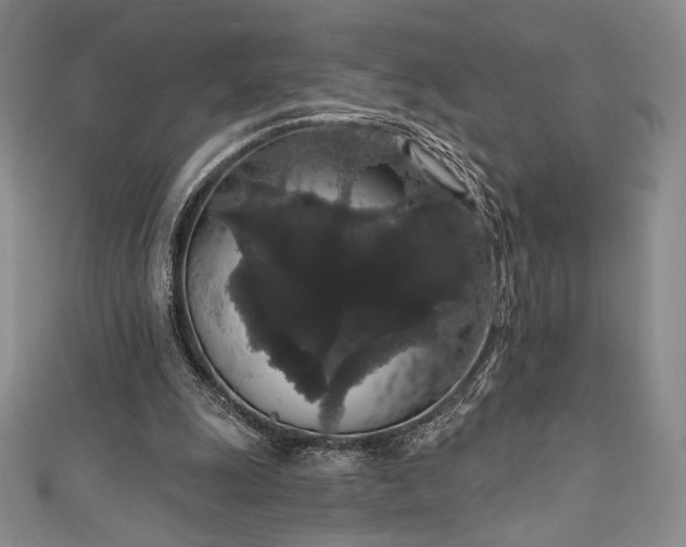 X0000111830247200907231322
