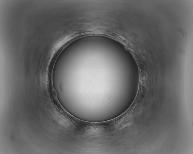 X0000111830248200907231322