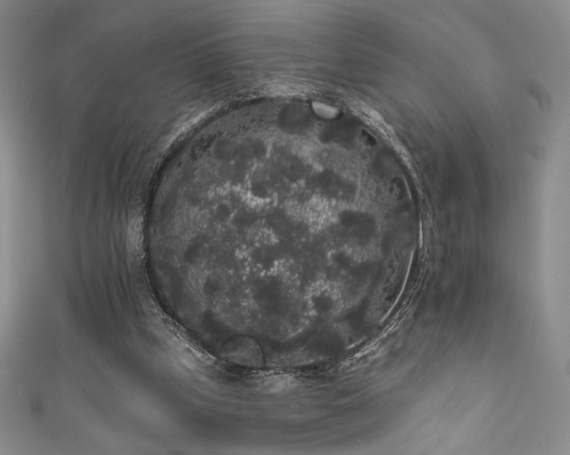 X0000111830249200907231322