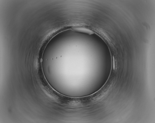 X0000111830252200907231322
