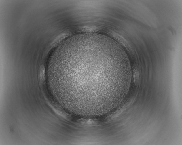X0000111830254200907231322