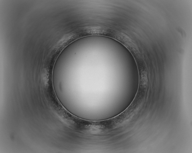 X0000111830255200907231322