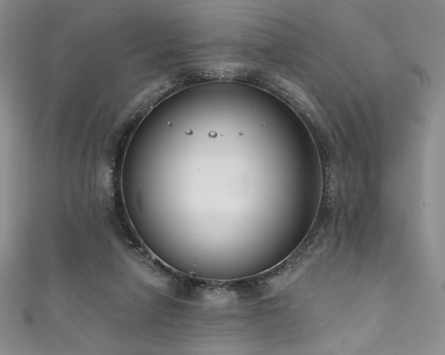 X0000111830258200907231322
