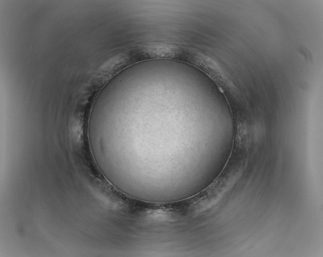 X0000111830259200907231322