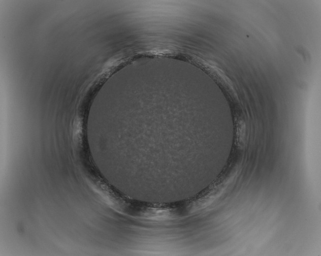 X0000111830260200907231322