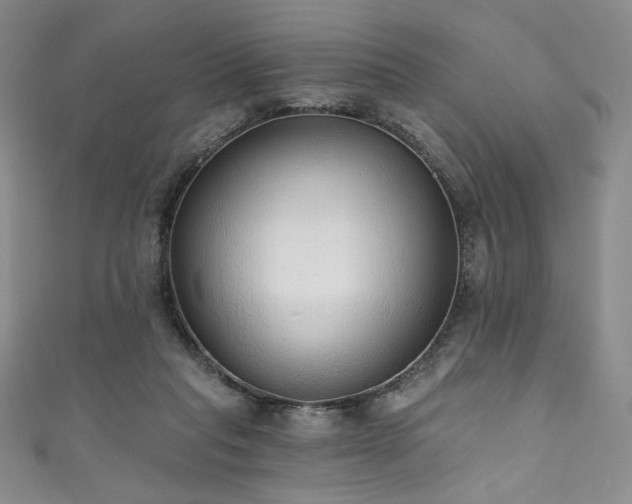 X0000111830261200907231322