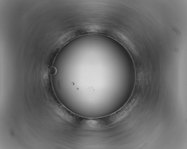 X0000111830265200907231323