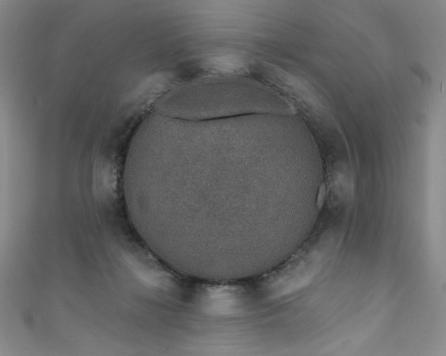 X0000111830268200907231323