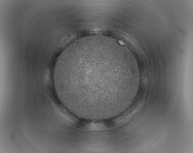 X0000111830270200907231323