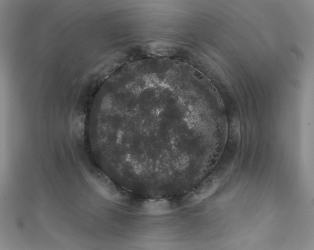 X0000111830271200907231323