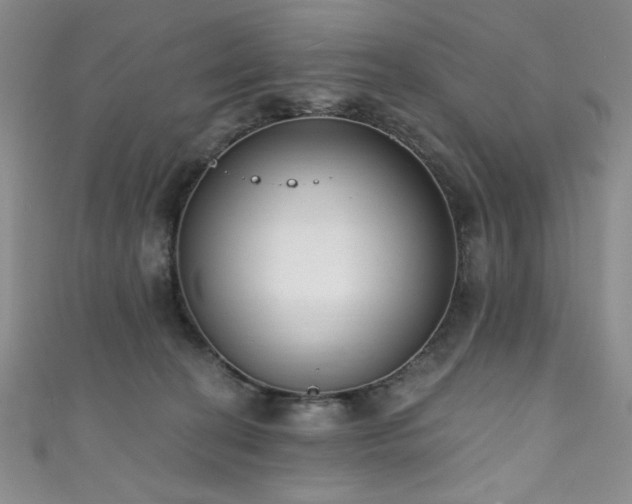 X0000111830274200907231323