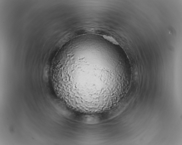 X0000111830275200907231323