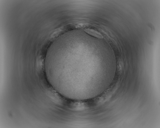 X0000111830276200907231323