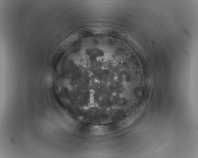 X0000111830277200907231323