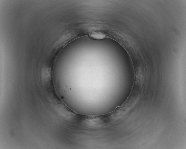 X0000111830278200907231323