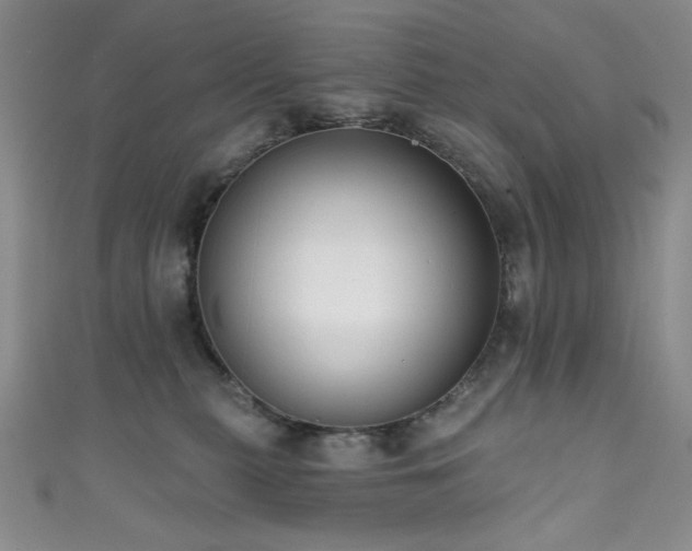 X0000111830279200907231323
