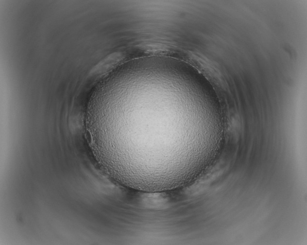 X0000111830281200907231323