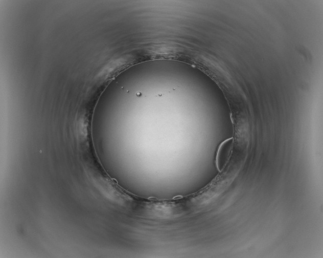 X0000111830282200907231323