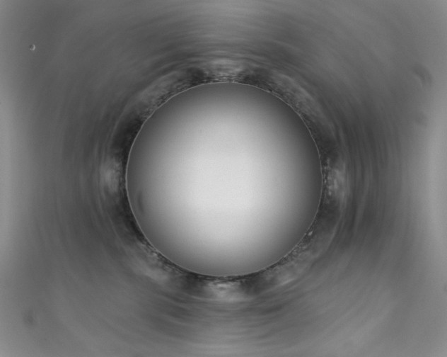 X0000111830283200907231323