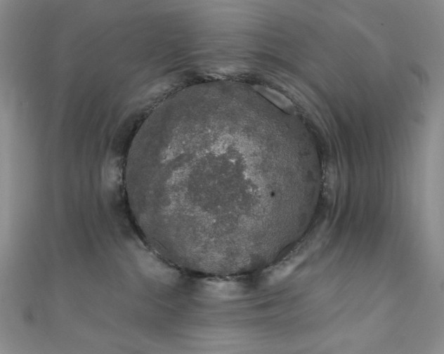 X0000111830284200907231323