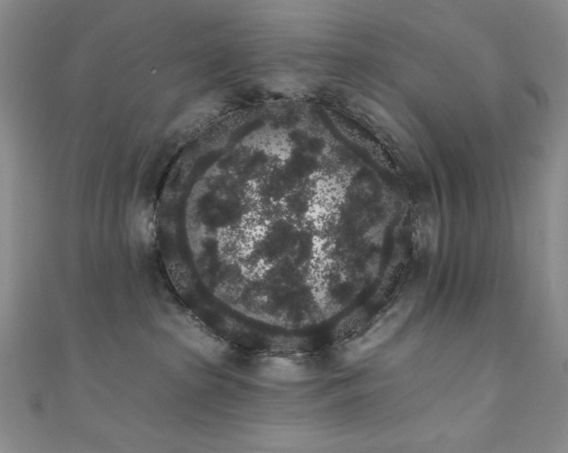 X0000111830285200907231323