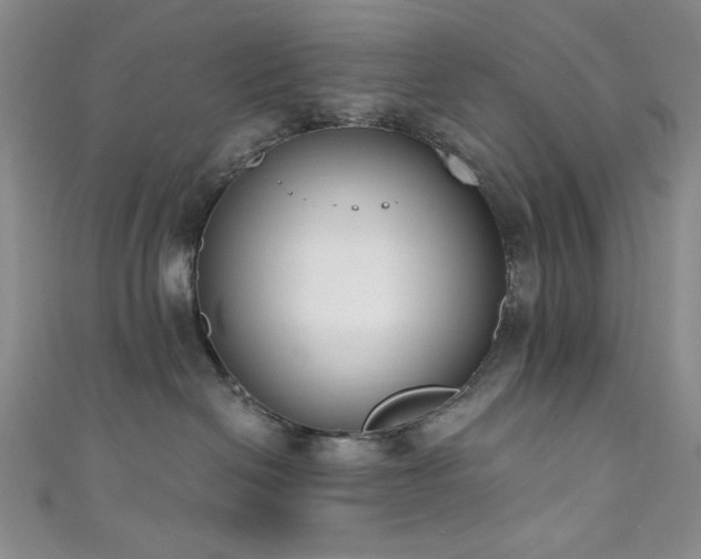 X0000111830286200907231323