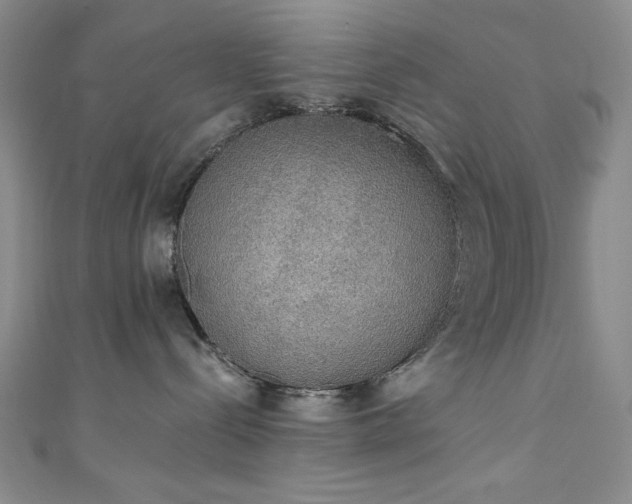 X0000111830288200907231323