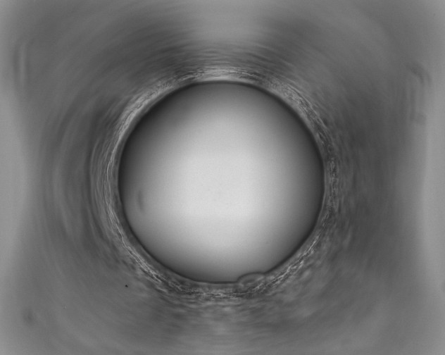 X0000111830289200907231322