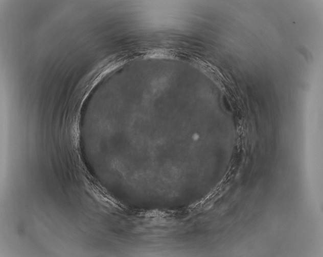 X0000111830290200907231322