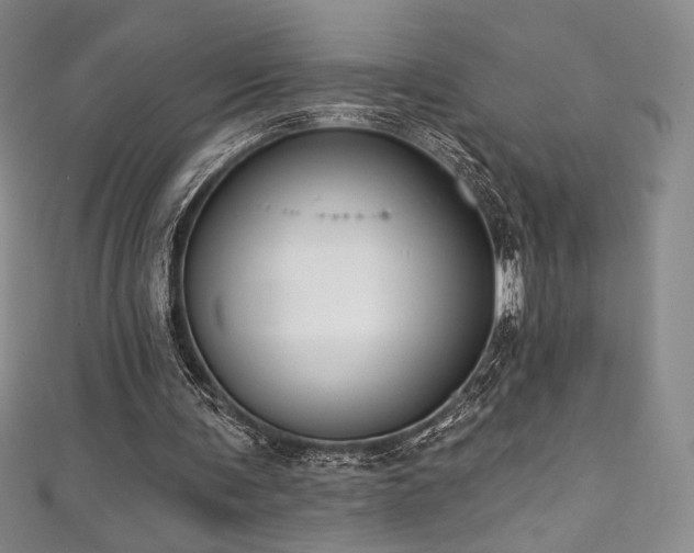 X0000111830291200907231322