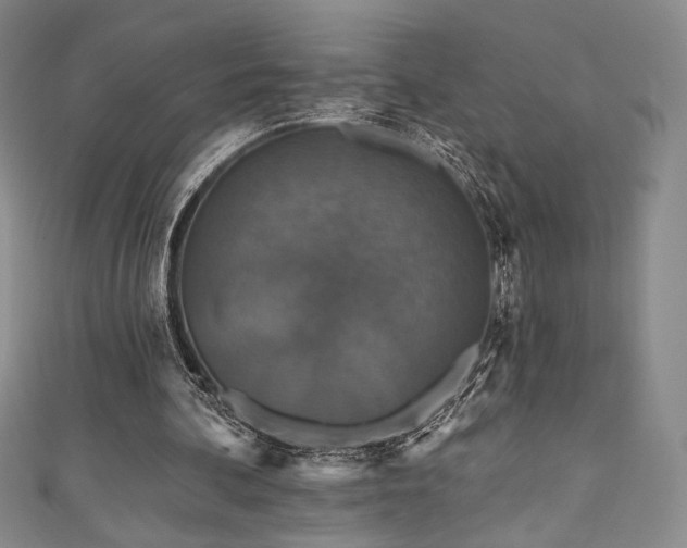 X0000111830292200907231322