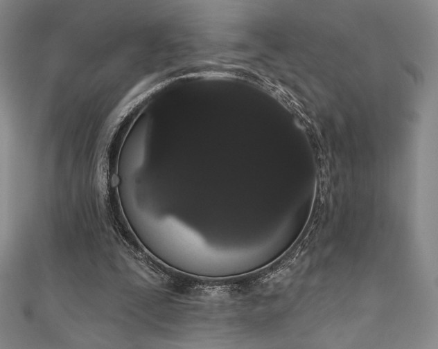 X0000111830295200907231322