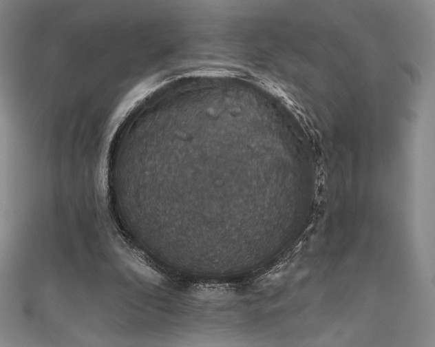 X0000111830296200907231322