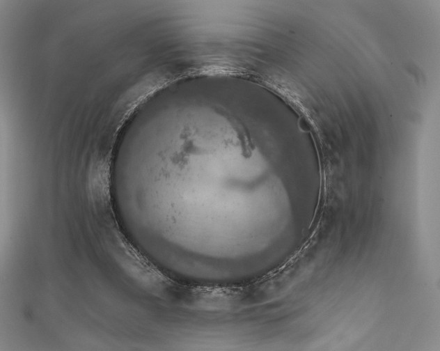 X0000111830297200907231322