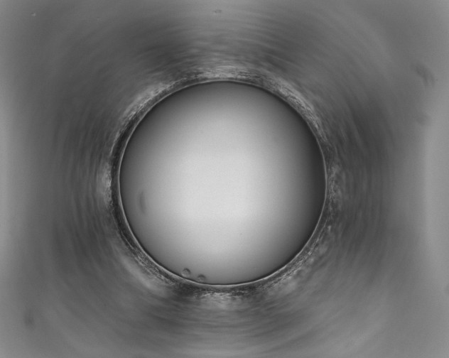 X0000111830298200907231322