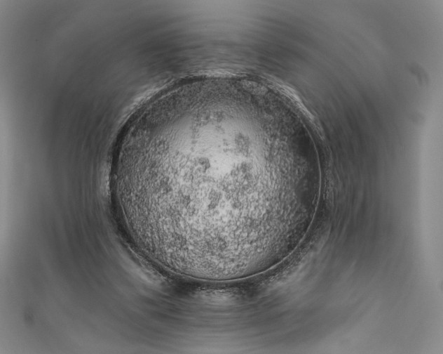 X0000111830299200907231322